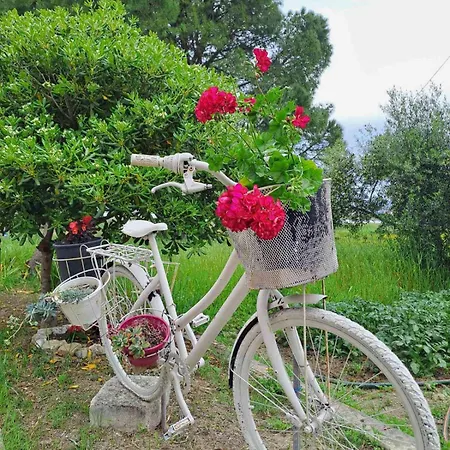 Apartment Corfu Oasis Stratia
