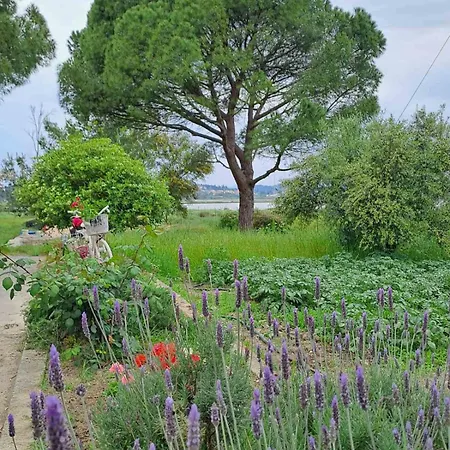 Corfu Oasis Apartman *