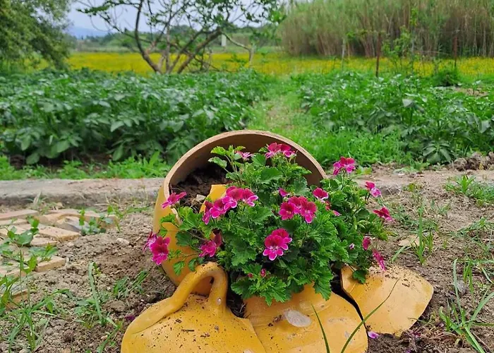 Corfu Oasis *